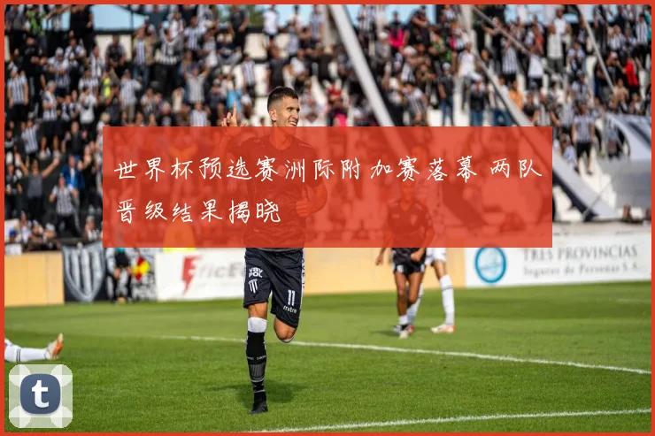 世界杯预选赛洲际附加赛落幕 两队晋级结果揭晓