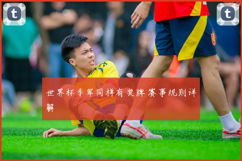 世界杯季军同样有奖牌 赛事规则详解