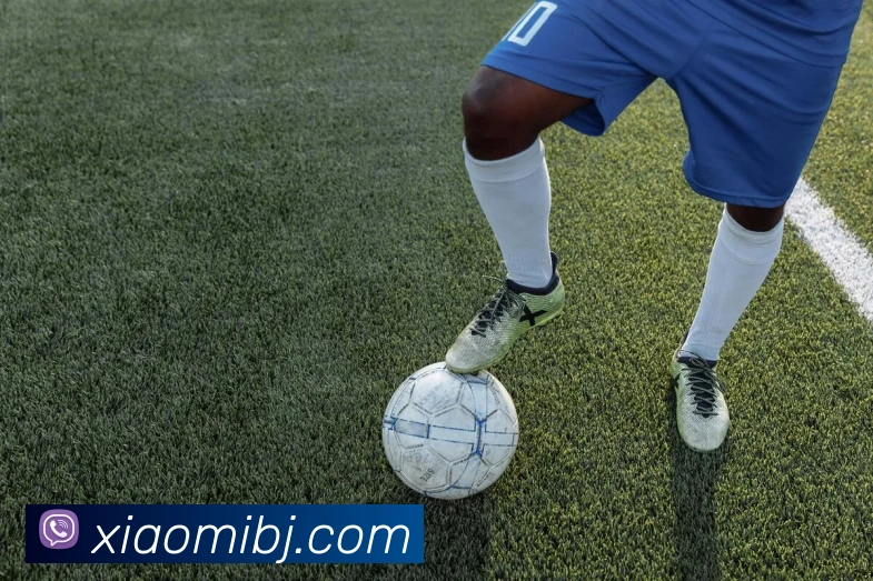 世界杯平台官网登录发展历程